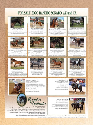 0120 rancho sonado sales list flyer