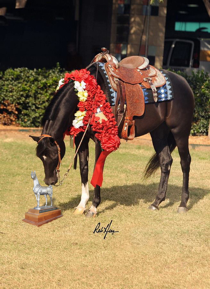 2014 U.S. Nationals - Agracie Girl V +++// looking at trophy